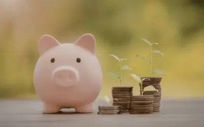 Legge di Bilancio 2026 e Fondi Pensione: Tutte le Novità sulla Previdenza Integrativa