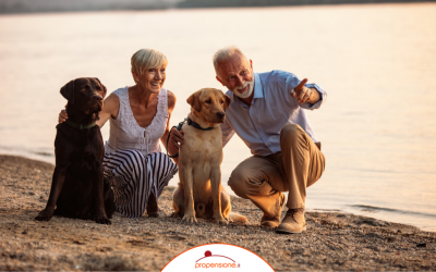 Pensioni 2026: tutto quello che devi sapere